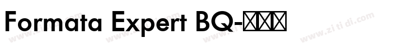 Formata Expert BQ字体转换